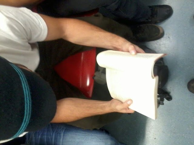 Metrolector Nro. 16.