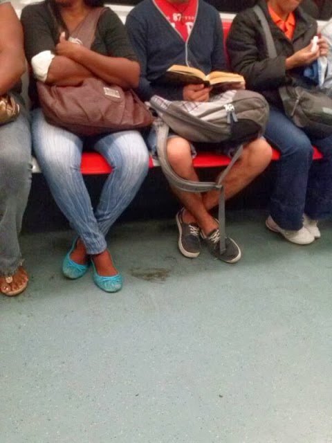 Metrolector Nro. 36
