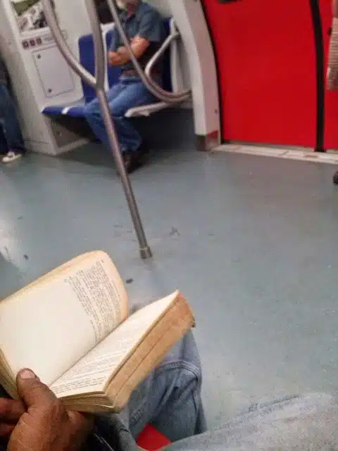 Metrolector Nro. 44